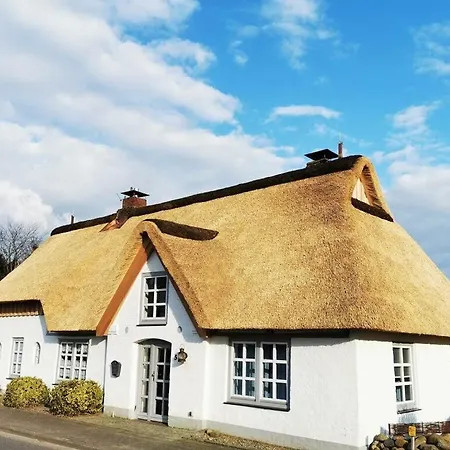 Reethus In The Sun *